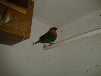 /album/galeria-de-fotos/a2013-02-05-17-31-19-jpg/